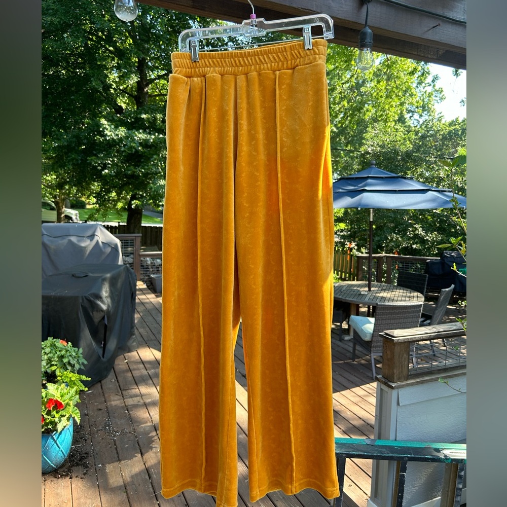 Urban Outfitters BDG Gold Velour Pants